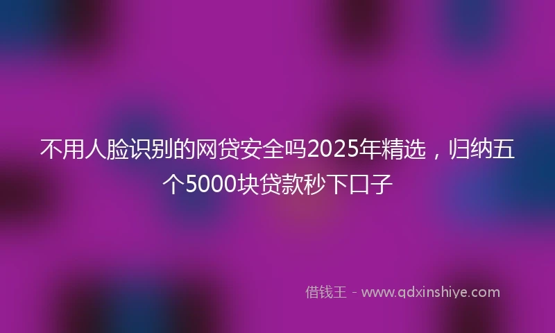 不用人脸识别的网贷安全吗2025年精选，归纳五个5000块贷款秒下口子