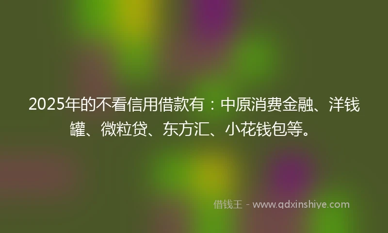 2025年的不看信用借款有：中原消费金融、洋钱罐、微粒贷、东方汇、小花钱包等。