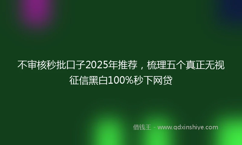 不审核秒批口子2025年推荐，梳理五个真正无视征信黑白100%秒下网贷
