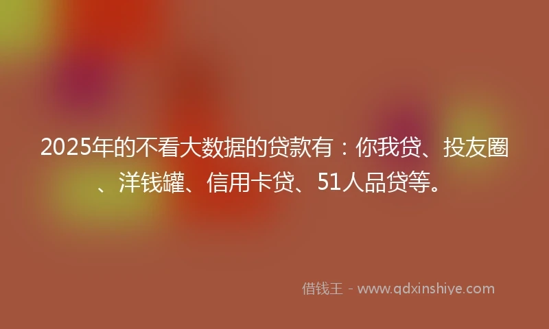 2025年的不看大数据的贷款有：你我贷、投友圈、洋钱罐、信用卡贷、51人品贷等。