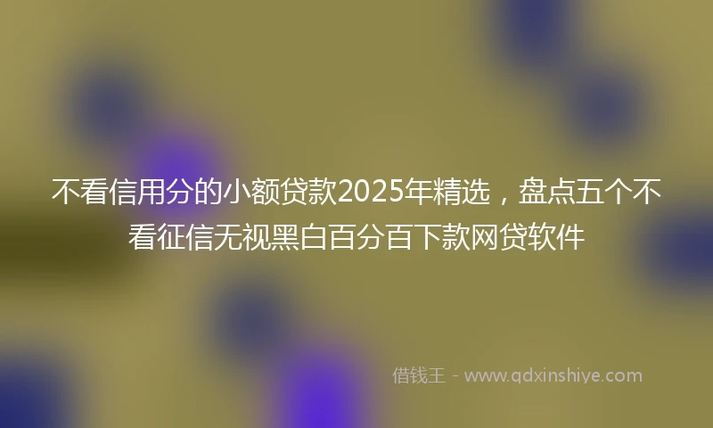 不看信用分的小额贷款2025年精选，盘点五个不看征信无视黑白百分百下款网贷软件