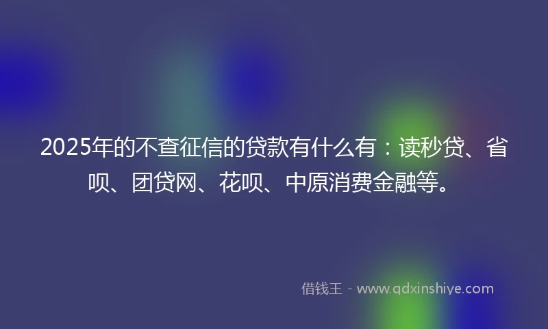 2025年的不查征信的贷款有什么有：读秒贷、省呗、团贷网、花呗、中原消费金融等。