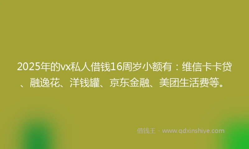 2025年的vx私人借钱16周岁小额有：维信卡卡贷、融逸花、洋钱罐、京东金融、美团生活费等。