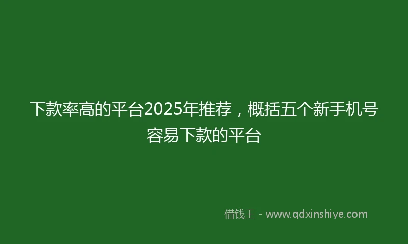 下款率高的平台2025年推荐，概括五个新手机号容易下款的平台