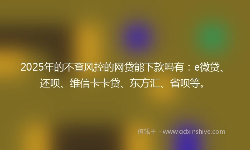 2025年的不查风控的网贷能下款吗有：e微贷、还呗、维信卡卡贷、东方汇、省呗等。