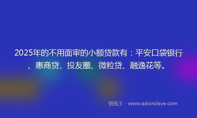 2025年的不用面审的小额贷款有：平安口袋银行、惠商贷、投友圈、微粒贷、融逸花等。