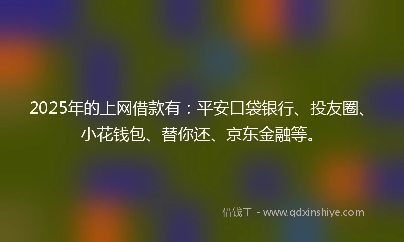 2025年的上网借款有：平安口袋银行、投友圈、小花钱包、替你还、京东金融等。