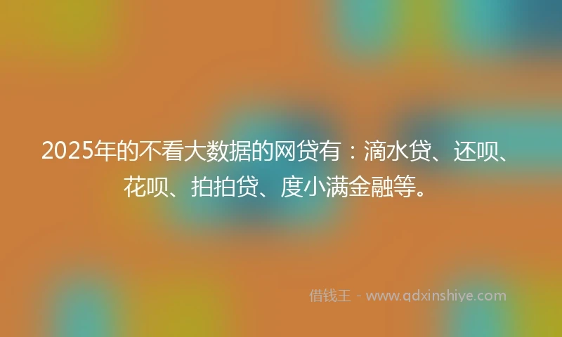 2025年的不看大数据的网贷有：滴水贷、还呗、花呗、拍拍贷、度小满金融等。
