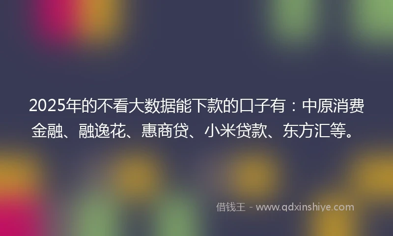 2025年的不看大数据能下款的口子有：中原消费金融、融逸花、惠商贷、小米贷款、东方汇等。