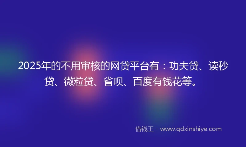 2025年的不用审核的网贷平台有：功夫贷、读秒贷、微粒贷、省呗、百度有钱花等。