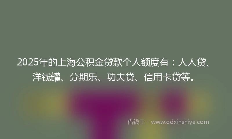 2025年的上海公积金贷款个人额度有：人人贷、洋钱罐、分期乐、功夫贷、信用卡贷等。