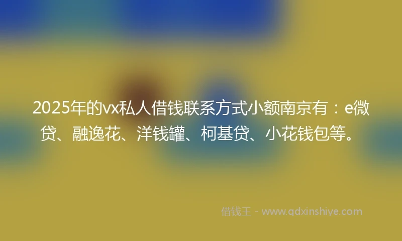 2025年的vx私人借钱联系方式小额南京有：e微贷、融逸花、洋钱罐、柯基贷、小花钱包等。