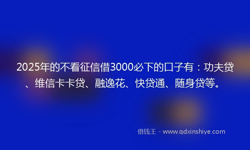 2025年的不看征信借3000必下的口子有：功夫贷、维信卡卡贷、融逸花、快贷通、随身贷等。