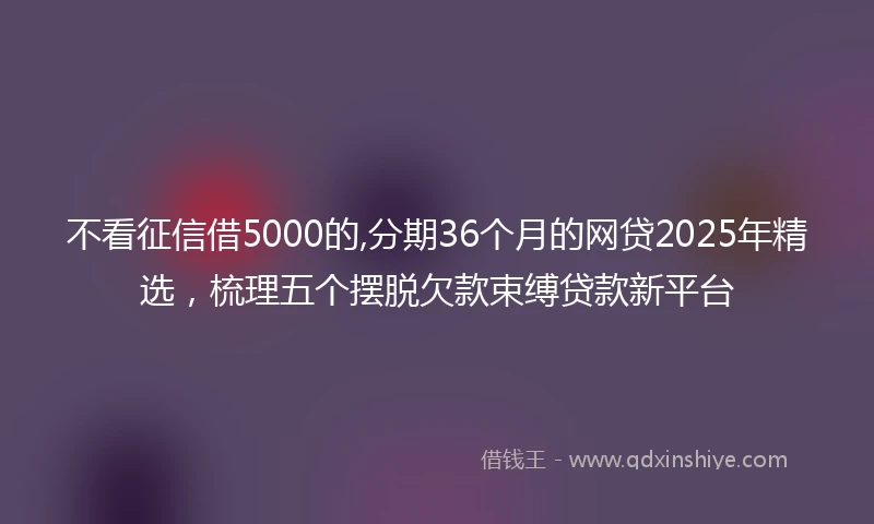 不看征信借5000的,分期36个月的网贷2025年精选，梳理五个摆脱欠款束缚贷款新平台