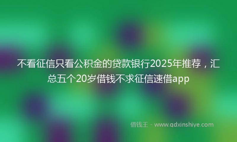 不看征信只看公积金的贷款银行2025年推荐，汇总五个20岁借钱不求征信速借app
