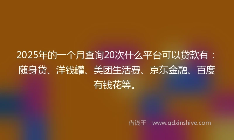 2025年的一个月查询20次什么平台可以贷款有：随身贷、洋钱罐、美团生活费、京东金融、百度有钱花等。