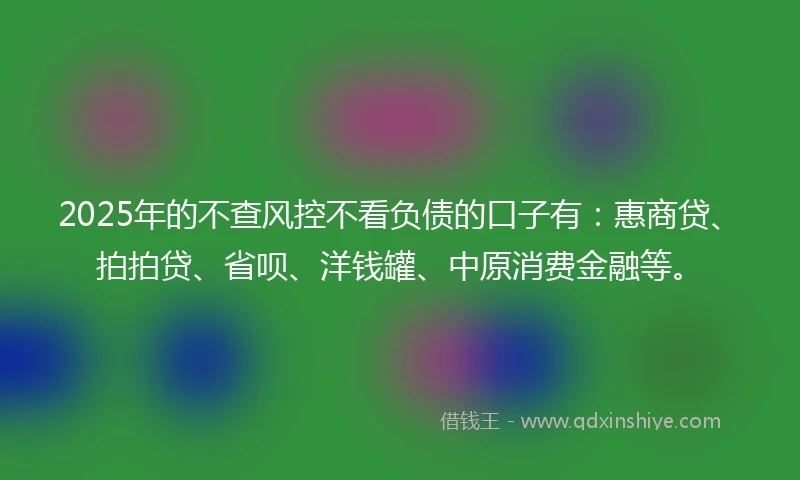 2025年的不查风控不看负债的口子有：惠商贷、拍拍贷、省呗、洋钱罐、中原消费金融等。