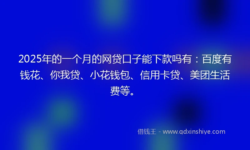 2025年的一个月的网贷口子能下款吗有：百度有钱花、你我贷、小花钱包、信用卡贷、美团生活费等。
