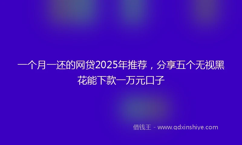 一个月一还的网贷2025年推荐，分享五个无视黑花能下款一万元口子