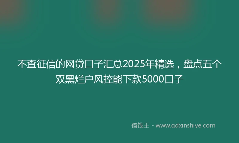 不查征信的网贷口子汇总2025年精选，盘点五个双黑烂户风控能下款5000口子