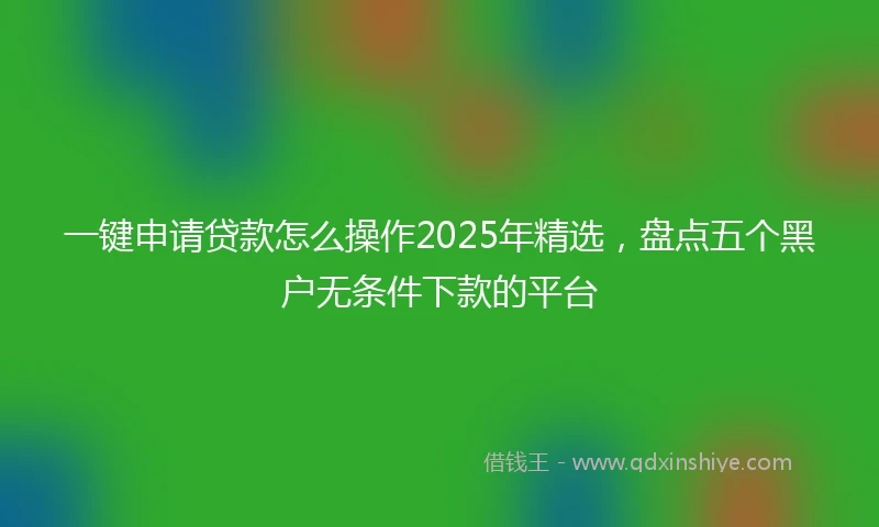 一键申请贷款怎么操作2025年精选，盘点五个黑户无条件下款的平台