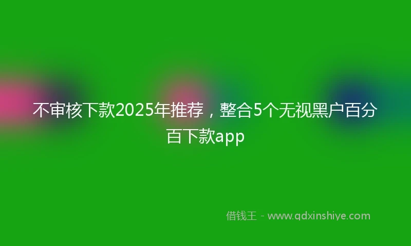 不审核下款2025年推荐，整合5个无视黑户百分百下款app