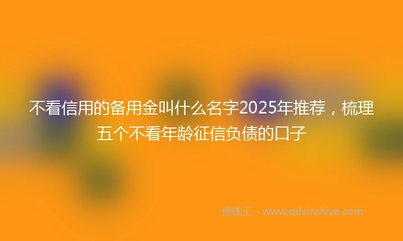 不看信用的备用金叫什么名字2025年推荐，梳理五个不看年龄征信负债的口子