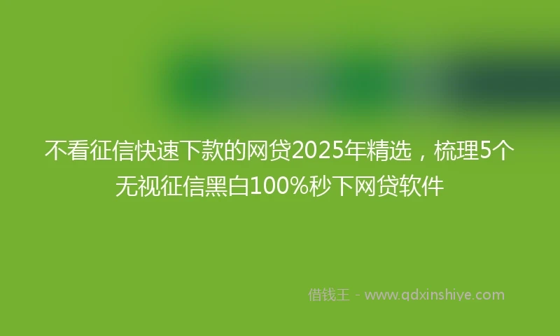 不看征信快速下款的网贷2025年精选，梳理5个无视征信黑白100%秒下网贷软件