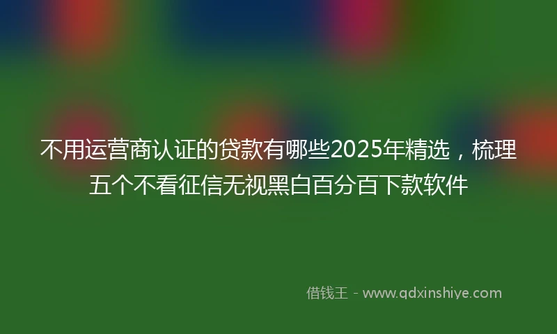 不用运营商认证的贷款有哪些2025年精选，梳理五个不看征信无视黑白百分百下款软件