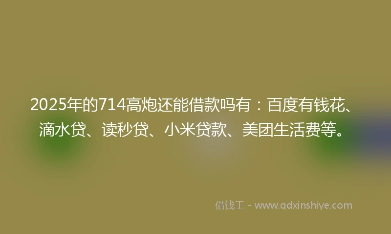 2025年的714高炮还能借款吗有：百度有钱花、滴水贷、读秒贷、小米贷款、美团生活费等。