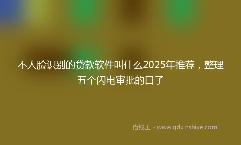 不人脸识别的贷款软件叫什么2025年推荐，整理五个闪电审批的口子