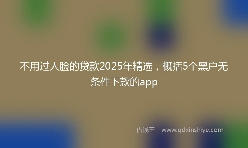 不用过人脸的贷款2025年精选，概括5个黑户无条件下款的app