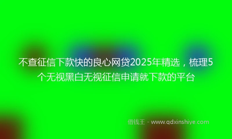 不查征信下款快的良心网贷2025年精选，梳理5个无视黑白无视征信申请就下款的平台