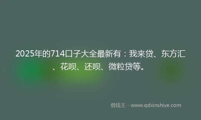 2025年的714口子大全最新有：我来贷、东方汇、花呗、还呗、微粒贷等。