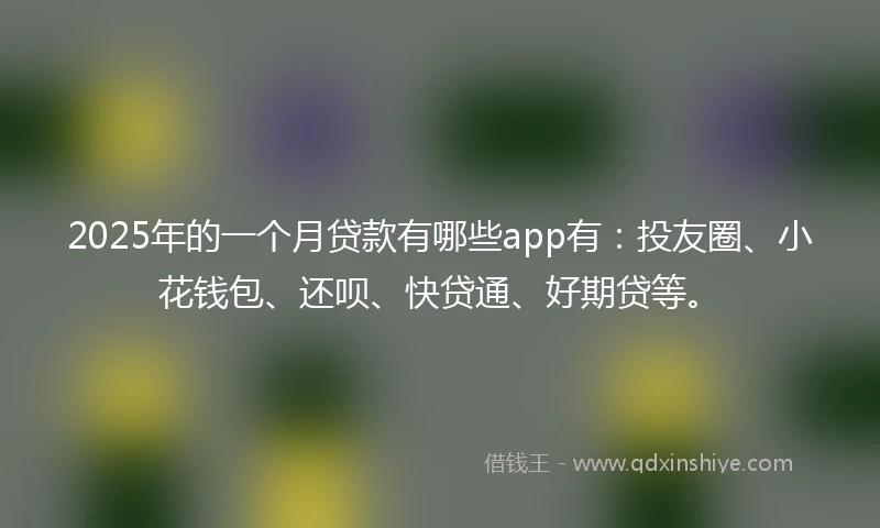 2025年的一个月贷款有哪些app有：投友圈、小花钱包、还呗、快贷通、好期贷等。