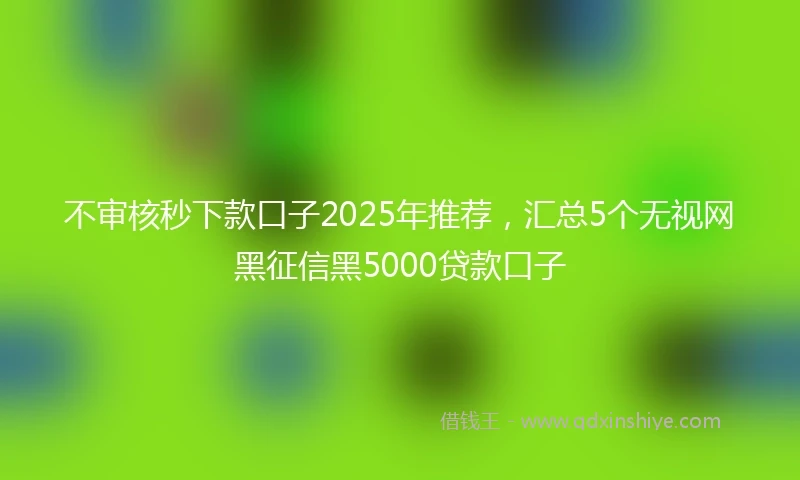 不审核秒下款口子2025年推荐，汇总5个无视网黑征信黑5000贷款口子