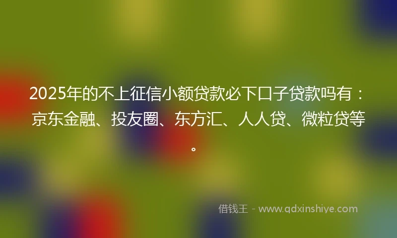 2025年的不上征信小额贷款必下口子贷款吗有：京东金融、投友圈、东方汇、人人贷、微粒贷等。