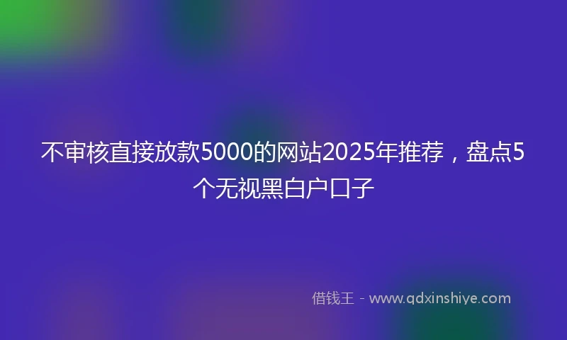 不审核直接放款5000的网站2025年推荐，盘点5个无视黑白户口子