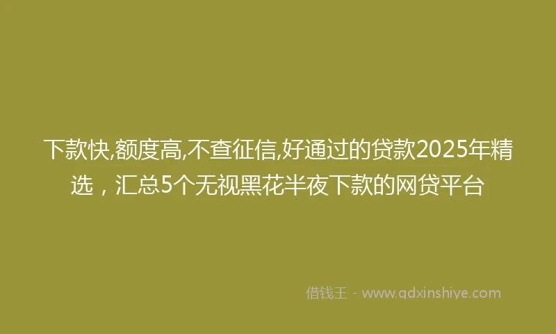 下款快,额度高,不查征信,好通过的贷款2025年精选，汇总5个无视黑花半夜下款的网贷平台