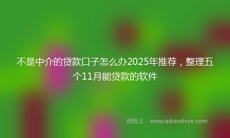 不是中介的贷款口子怎么办2025年推荐，整理五个11月能贷款的软件