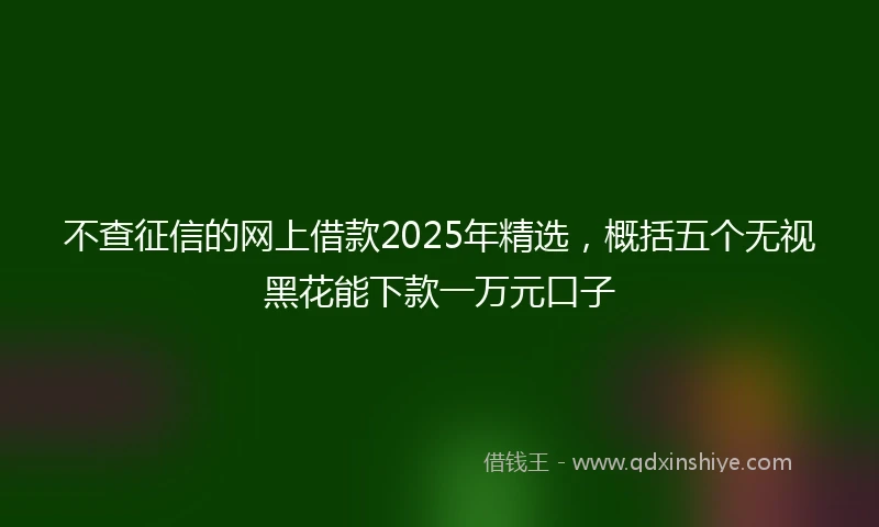 不查征信的网上借款2025年精选，概括五个无视黑花能下款一万元口子