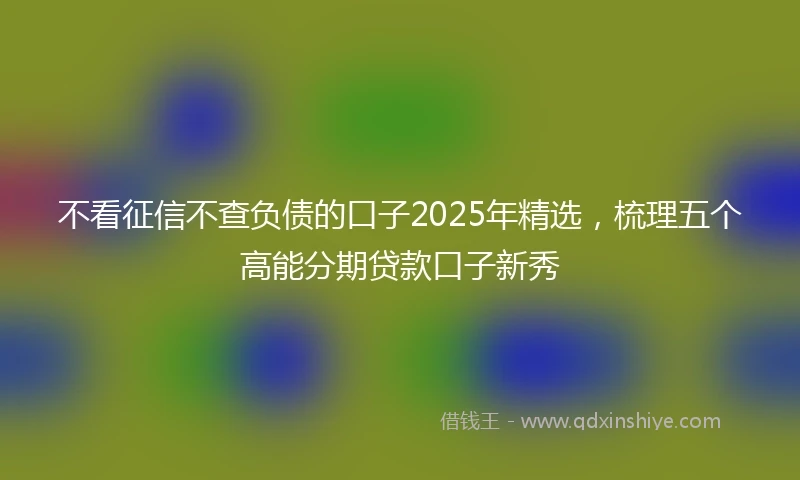 不看征信不查负债的口子2025年精选，梳理五个高能分期贷款口子新秀