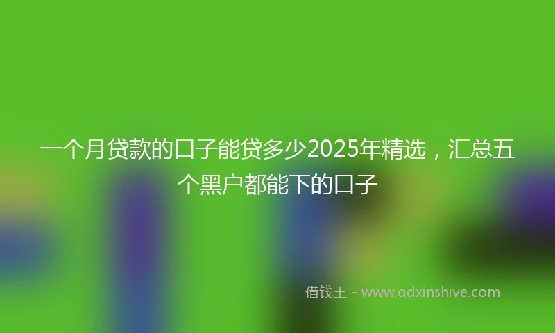 一个月贷款的口子能贷多少2025年精选，汇总五个黑户都能下的口子