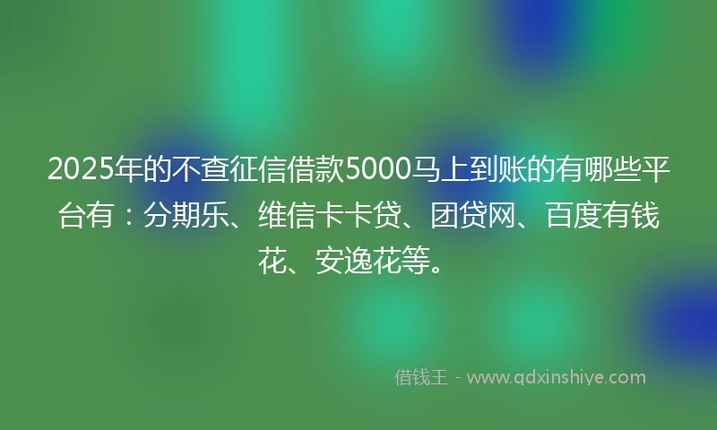 2025年的不查征信借款5000马上到账的有哪些平台有：分期乐、维信卡卡贷、团贷网、百度有钱花、安逸花等。