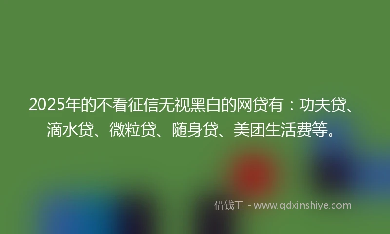 2025年的不看征信无视黑白的网贷有：功夫贷、滴水贷、微粒贷、随身贷、美团生活费等。