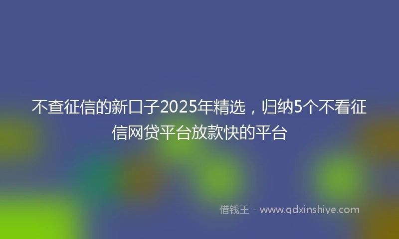 不查征信的新口子2025年精选，归纳5个不看征信网贷平台放款快的平台