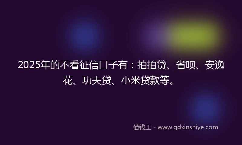 2025年的不看征信口子有：拍拍贷、省呗、安逸花、功夫贷、小米贷款等。