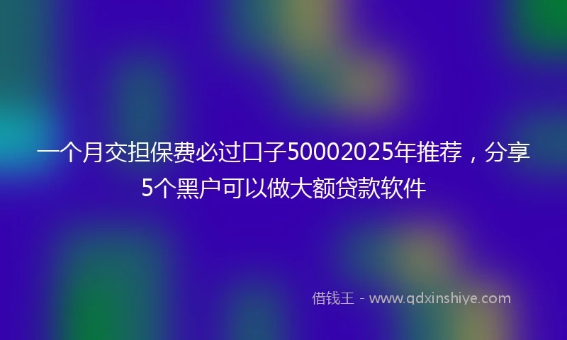 一个月交担保费必过口子50002025年推荐,分享5个黑户可以做大额贷款软件
