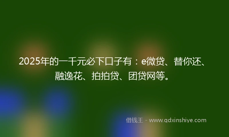 2025年的一千元必下口子有：e微贷、替你还、融逸花、拍拍贷、团贷网等。
