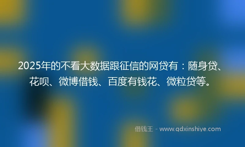 2025年的不看大数据跟征信的网贷有：随身贷、花呗、微博借钱、百度有钱花、微粒贷等。